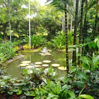 Singapore Botanic Gardens - All You Need to Know BEFORE You Go