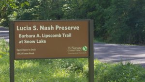 Lost in the Lush: A Journey to Ohio's Burton Wetlands State Nature Preserve