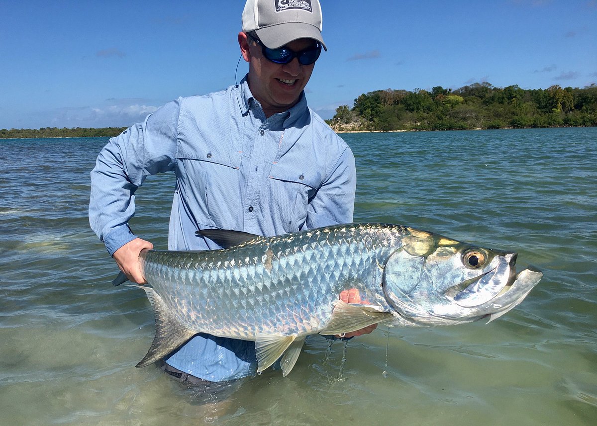 Antigua Fly Fishing Charters - All You Need to Know BEFORE You Go (2024)