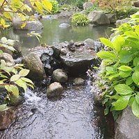 Anderson Japanese Gardens (Rockford) - All You Need to Know BEFORE You Go