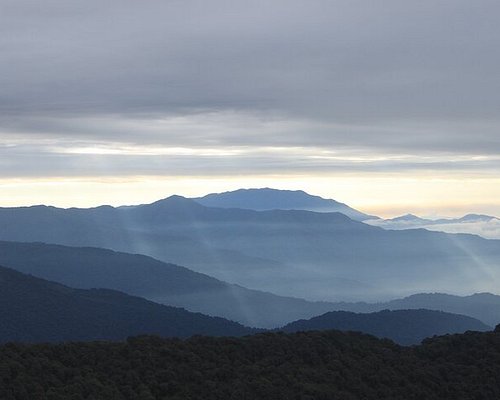 5 point tour darjeeling