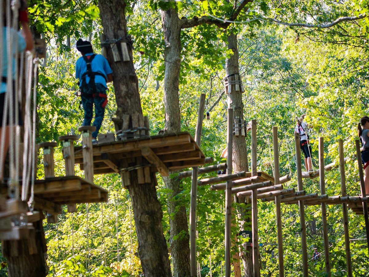 The Adventure Park at The Discovery Museum (Bridgeport) All You Need