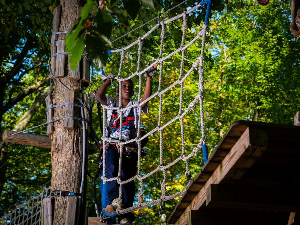 The Adventure Park at Storrs Bark in the Park – Connecticut Humane Society