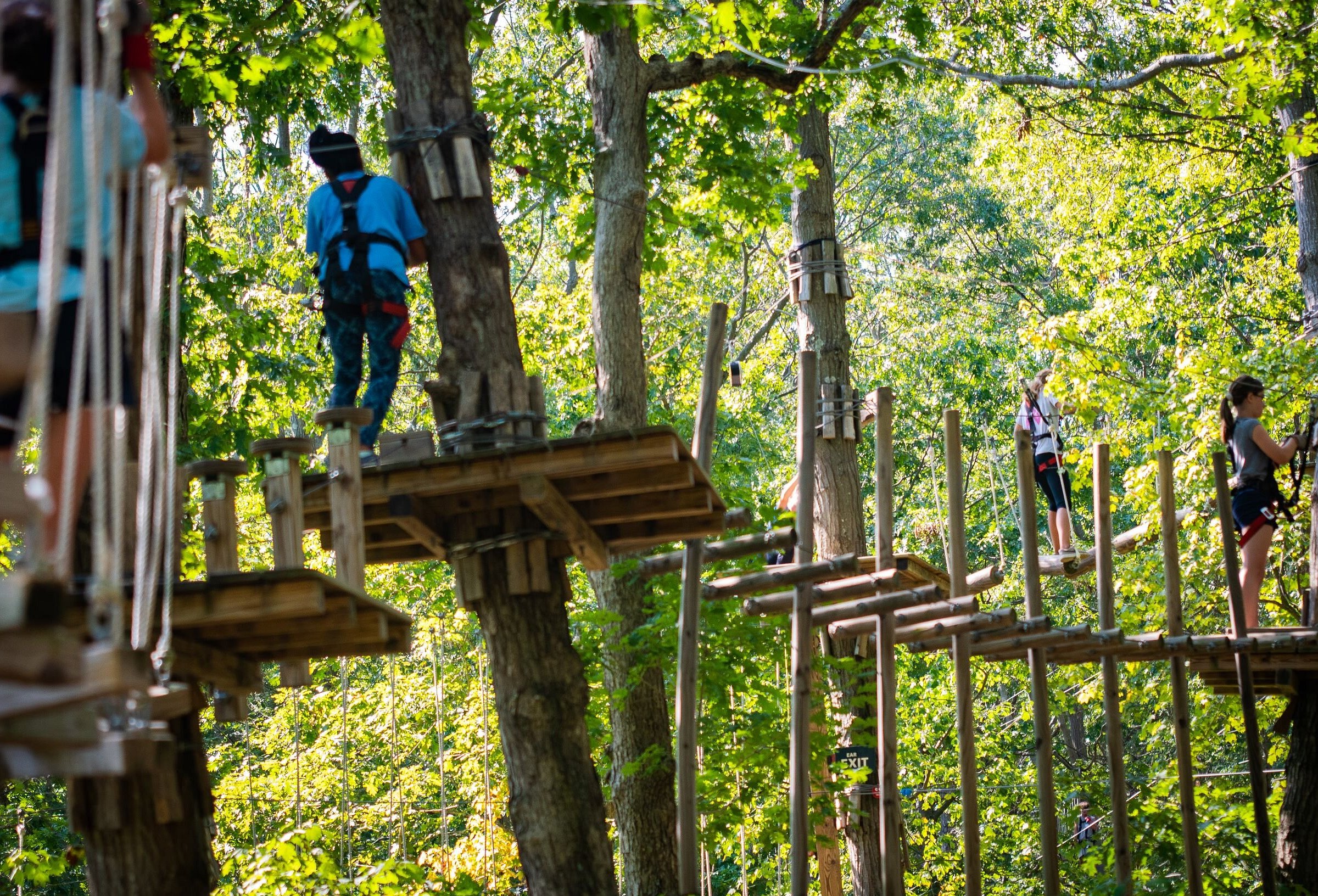 The Adventure Park at Storrs - All You Need to Know BEFORE You Go