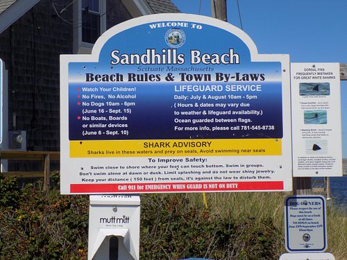 https://dynamic-media-cdn.tripadvisor.com/media/photo-o/1b/fb/cb/c2/sandhills-sign.jpg?w=500&h=-1&s=1