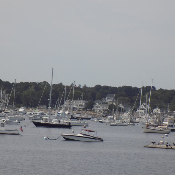 Stellwagen Bank National Marine Sanctuary (Scituate) - All You Need to ...