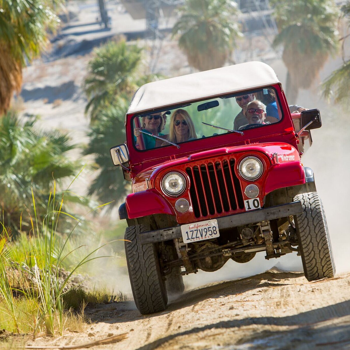 Desert Adventures Red Jeep Tours - All You Need to Know BEFORE You Go (2024)