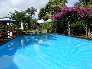 Mens Back Massage - Picture of a Touch of Samoa, Upolu - Tripadvisor