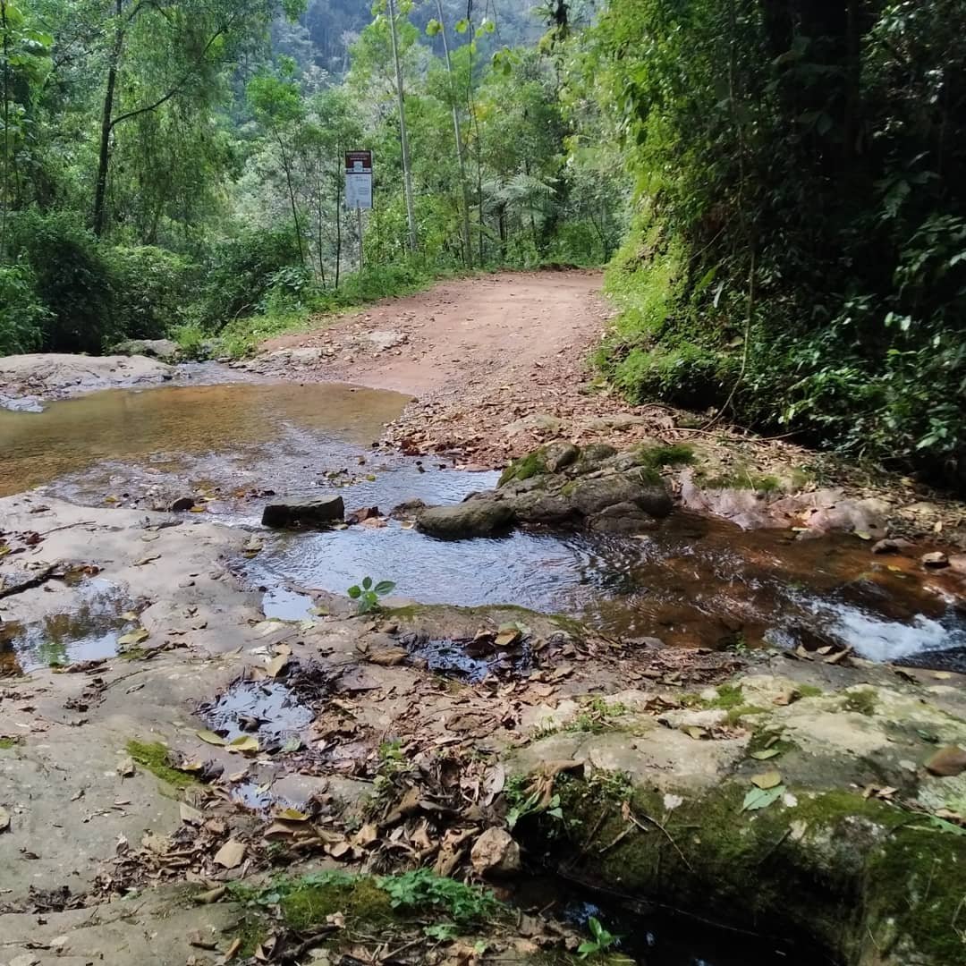 Poça do Xaxim - Picture of Serra Rio do Julio, Schroeder - Tripadvisor