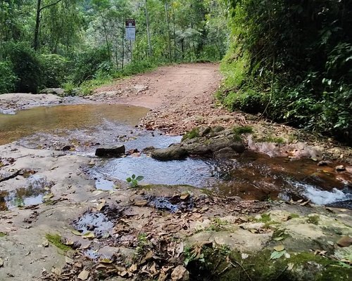 Schroeder, SC, Brasil em Schroeder: 2 opiniões e 2 fotos