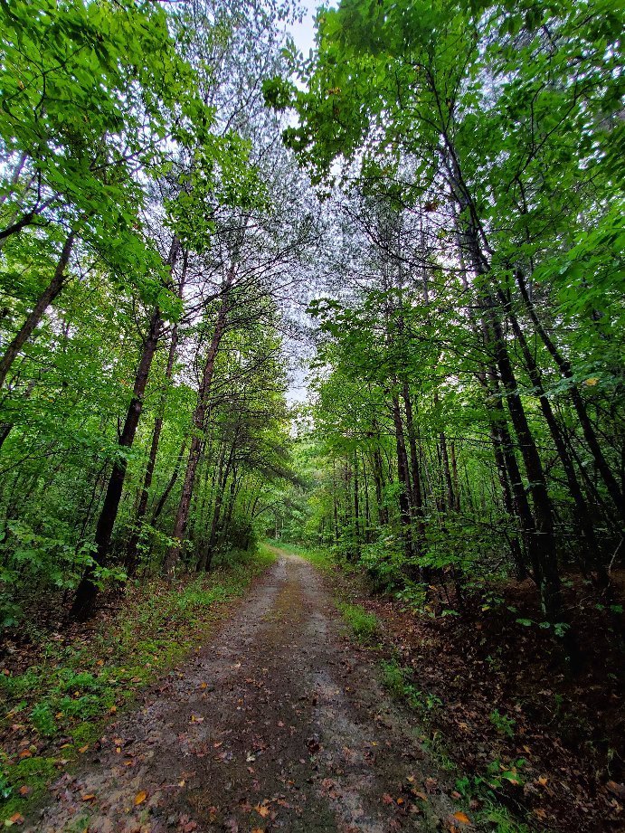 CHESTNUT RIDGE HERITAGE PRESERVE (2024) All You Need to Know BEFORE You ...