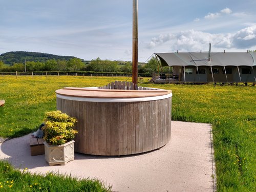 MIDDLE STONE FARM - Reviews, Photos