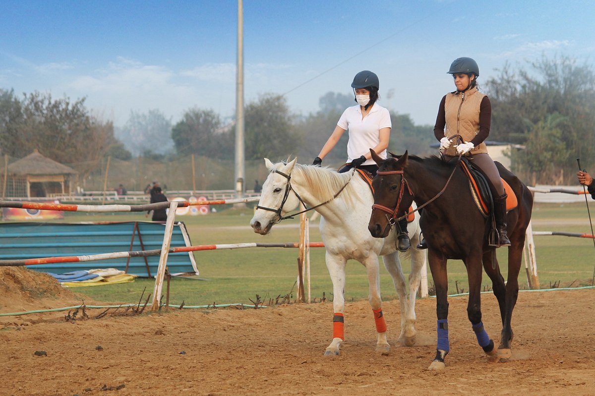 Duke Horse Riding Club (Gurgaon, Ấn Độ) - Đánh giá - Tripadvisor