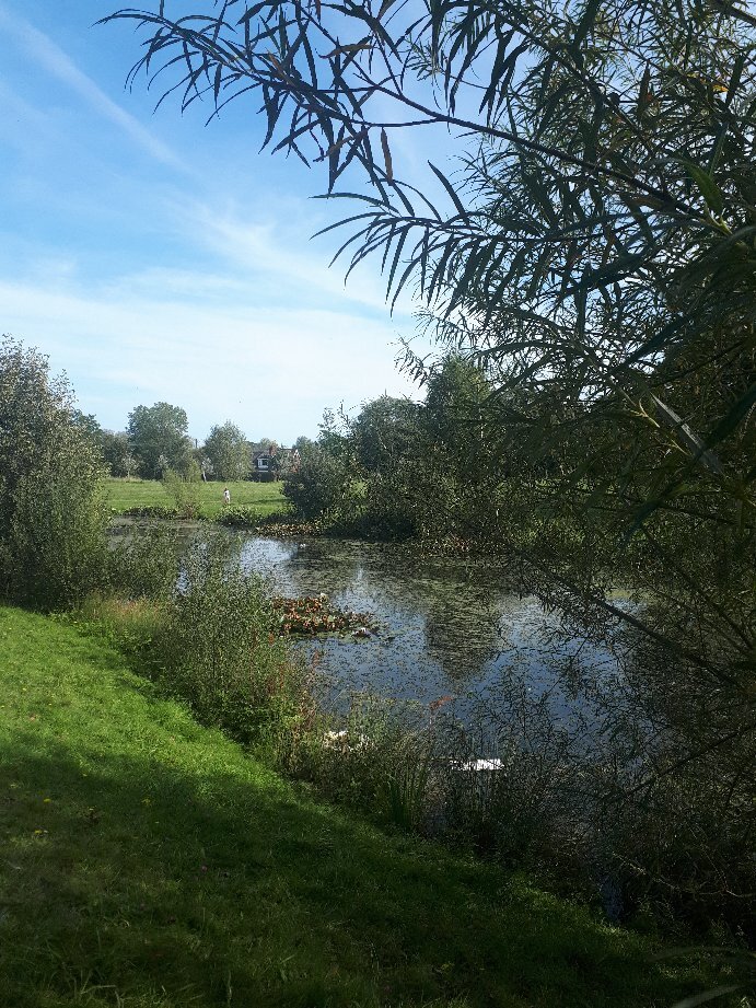 OLD BUCKENHAM COUNTRY PARK - Updated 2024 Prices & Campground Reviews ...