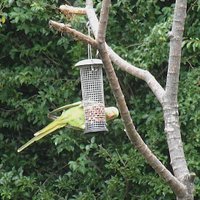 RSPB SANDWELL VALLEY (Birmingham) - All You Need to Know BEFORE You Go