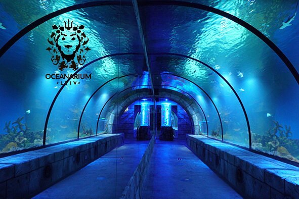 Aquarium Tunnel ?w=1200&h=1200&s=1