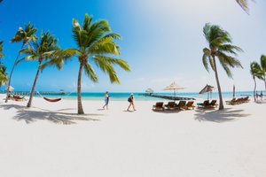 Pelican Reef Villas Resort in Ambergris Caye, image may contain: Summer, Chair, Nature, Outdoors