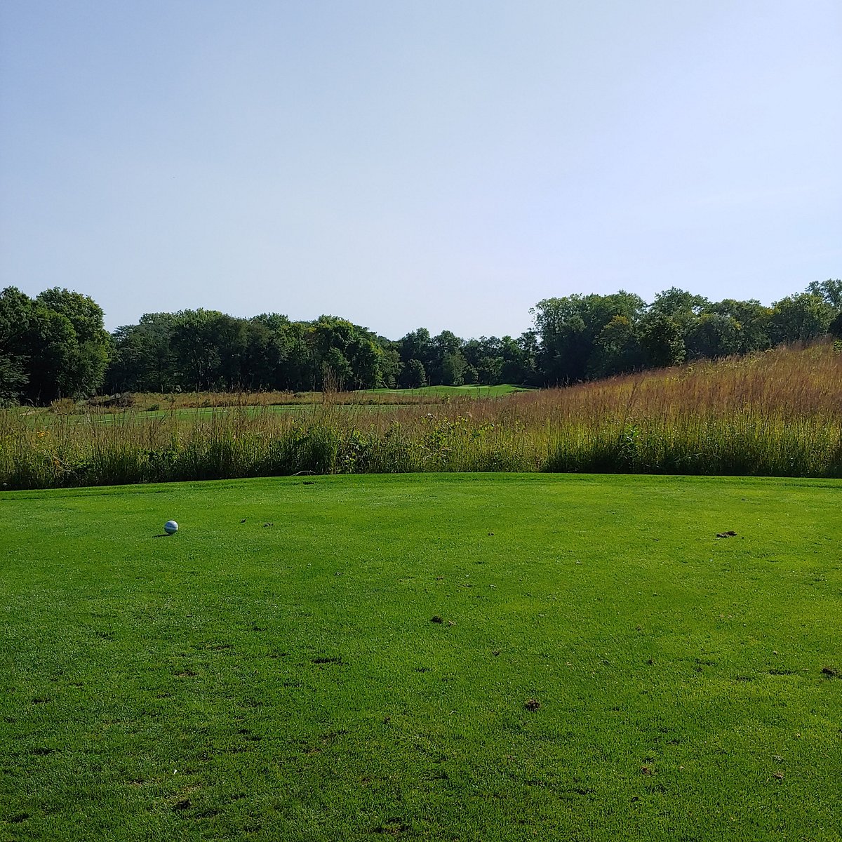 GLYNNS CREEK GOLF COURSE (Long Grove) All You Need to Know BEFORE You Go