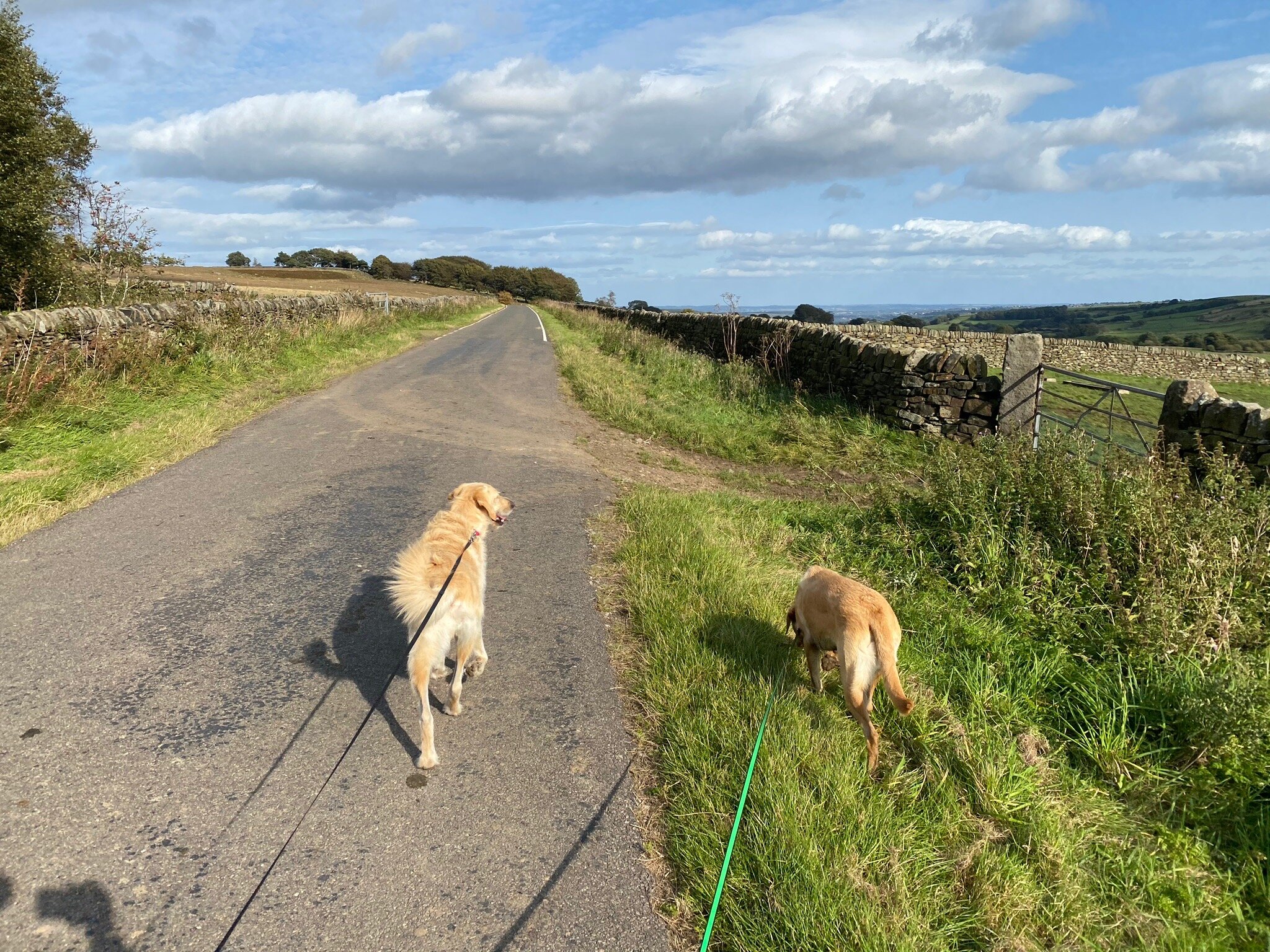 PADLEY FARM B&B (Sheffield, Inghilterra): Prezzi 2022 E Recensioni