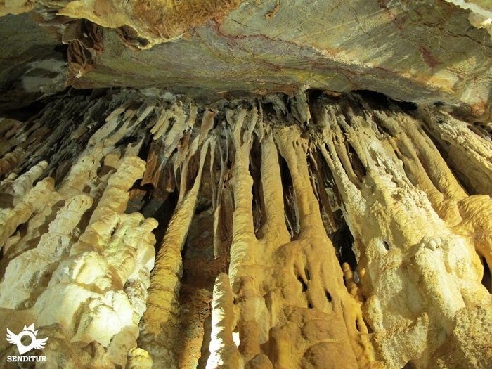 Imagen 9 de Cuevas de Ortigosa de Cameros