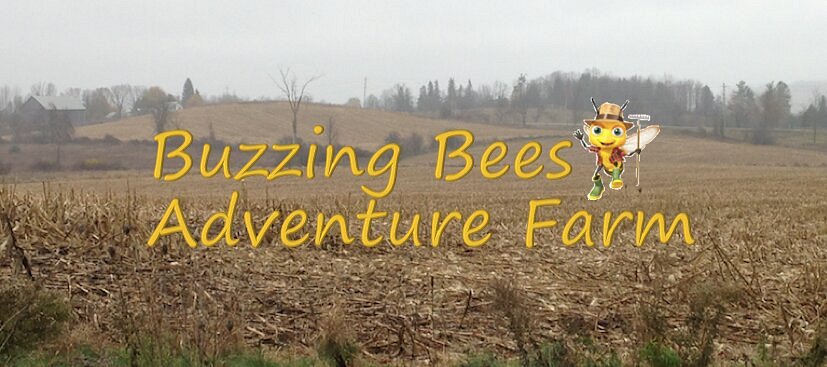 Buzzing Bees Adventure Farm & Corn Maze image