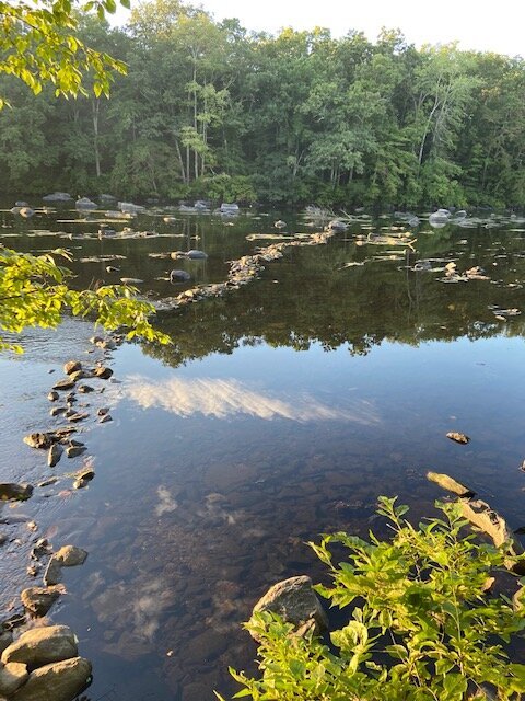 Escape to Tranquility: Uncovering Hidden Acres Campground, NJ