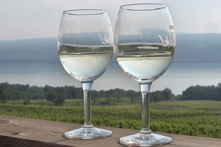 Viski - Seneca Wine Glasses – The Cove by Dune
