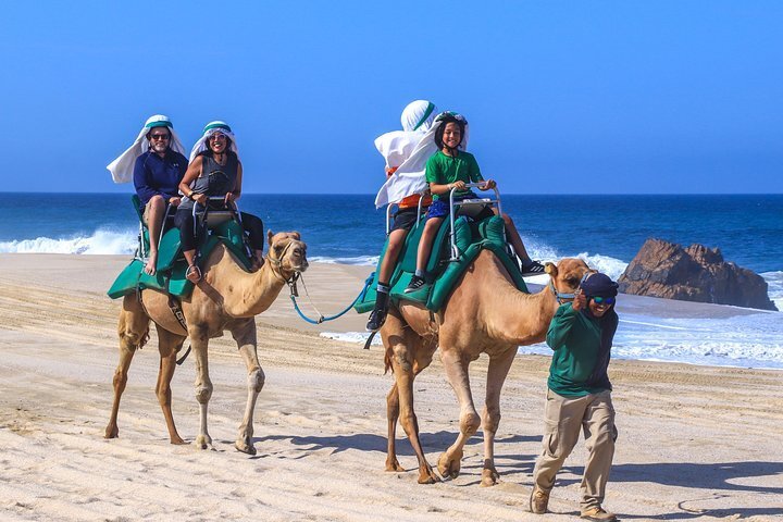 2024 Cabo Camel Ride Experience provided by Cabo Day Trips