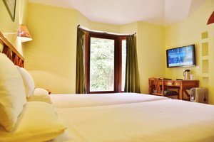 Room & Suite