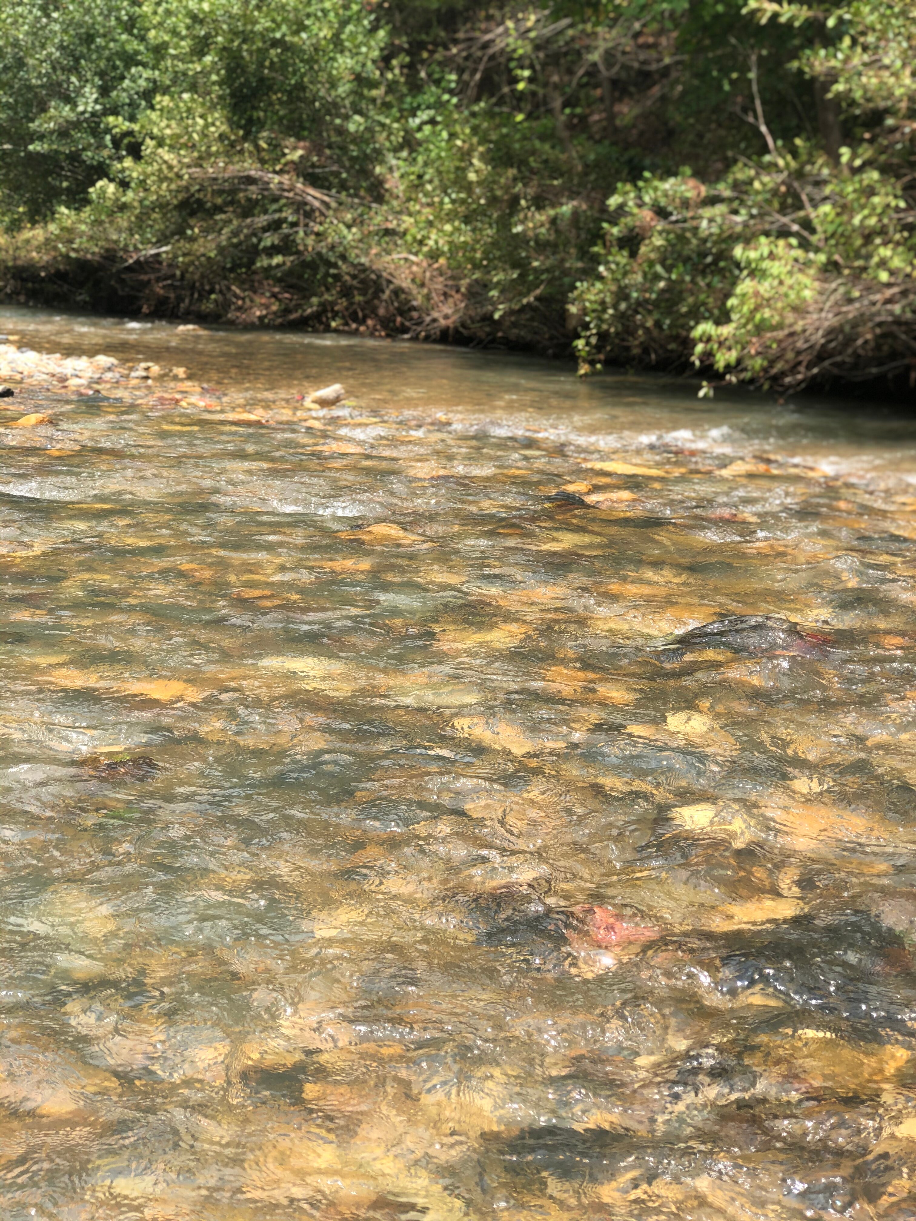 Atv campgrounds clearance