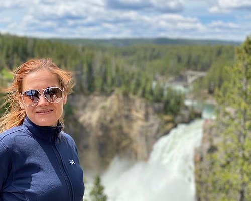 guided tour to yellowstone national park