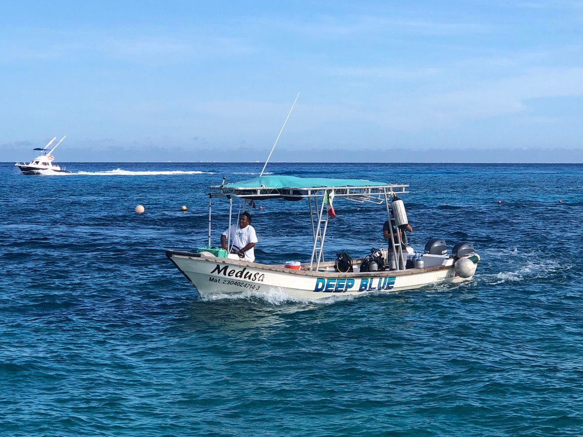 Deep Blue Scuba Diving (Cozumel) - All You Need to Know BEFORE You Go