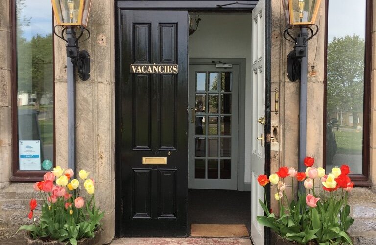 Our beautiful tulips at the front doors