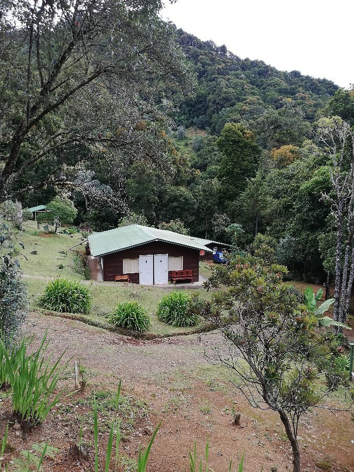 Quetzaly Cabins Desde 2367 San Gerardo De Dota Costa Rica Opiniones Y Comentarios B And B 