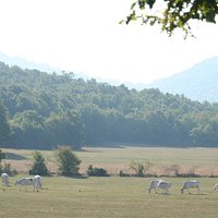 La vista da Cartore