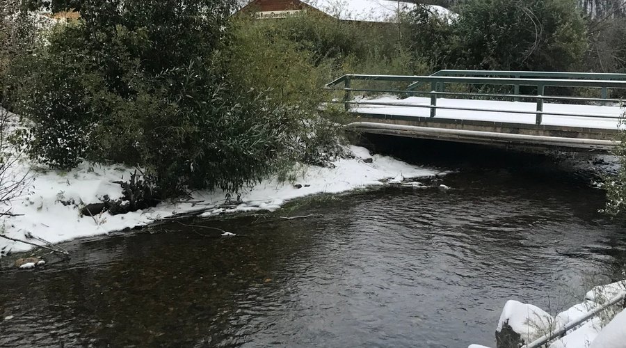 First snow of the season!