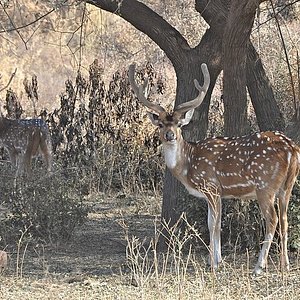 places to visit in alwar and sariska