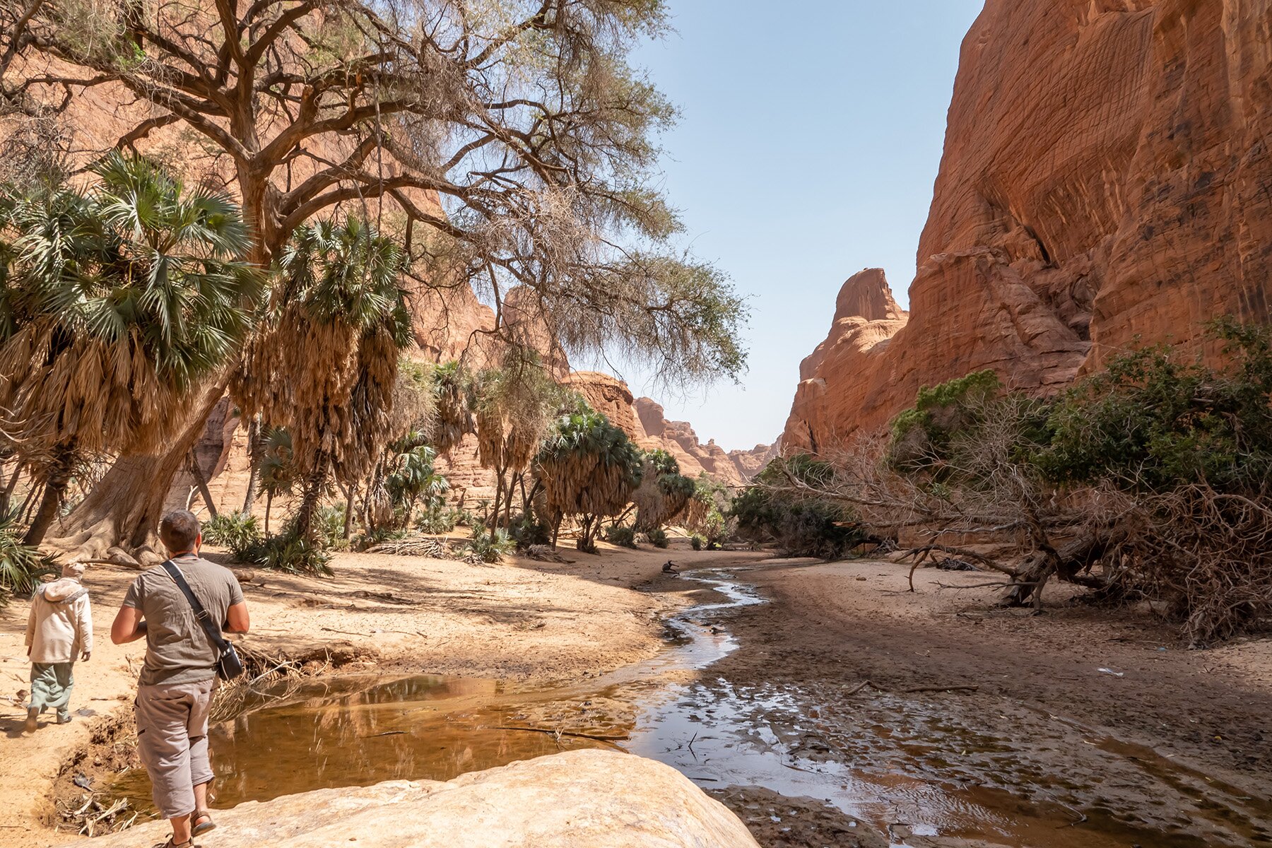 Zakouma National Park (Chad) - 2021 All You Need To Know BEFORE You Go ...