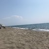 Buccini