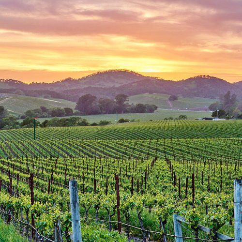 Top 10 Wineries & Vineyards In Orange County, Orange County