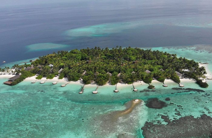 especificar Refinamiento Exclusión NIKA ISLAND RESORT & SPA (Kudafolhudhoo Island, Maldivas): opiniones y  precios