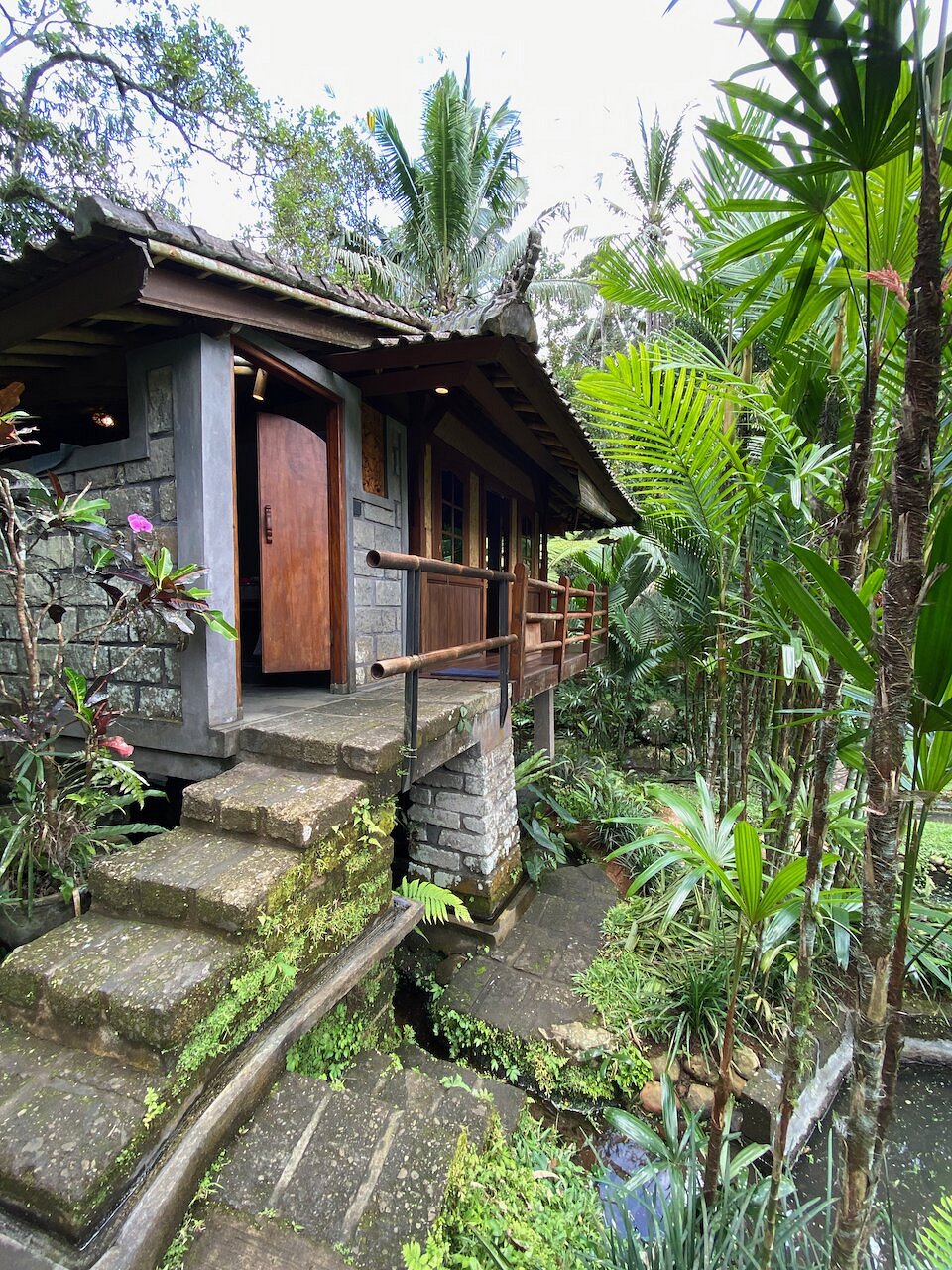 BALI ECO STAY BUNGALOWS (Бали) - отзывы, фото и сравнение цен - Tripadvisor