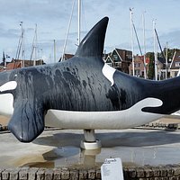 according to old history tales the name of the fishery town of URK comes from the orca. Therefore a model of an adult orca is placedin the middle of the current harbor.