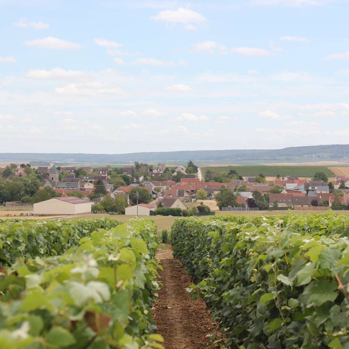 Domaine les Bertins - All You Need to Know BEFORE You Go (with Photos)