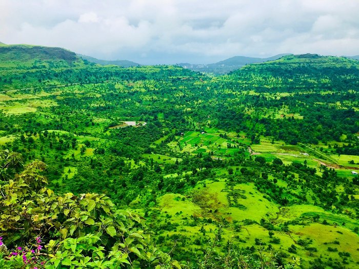 strawberry hills hotel & resorts hatgad maharashtra