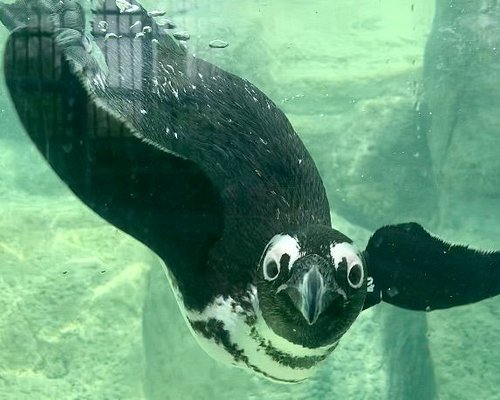 7 New Jersey Zoos Not to Miss