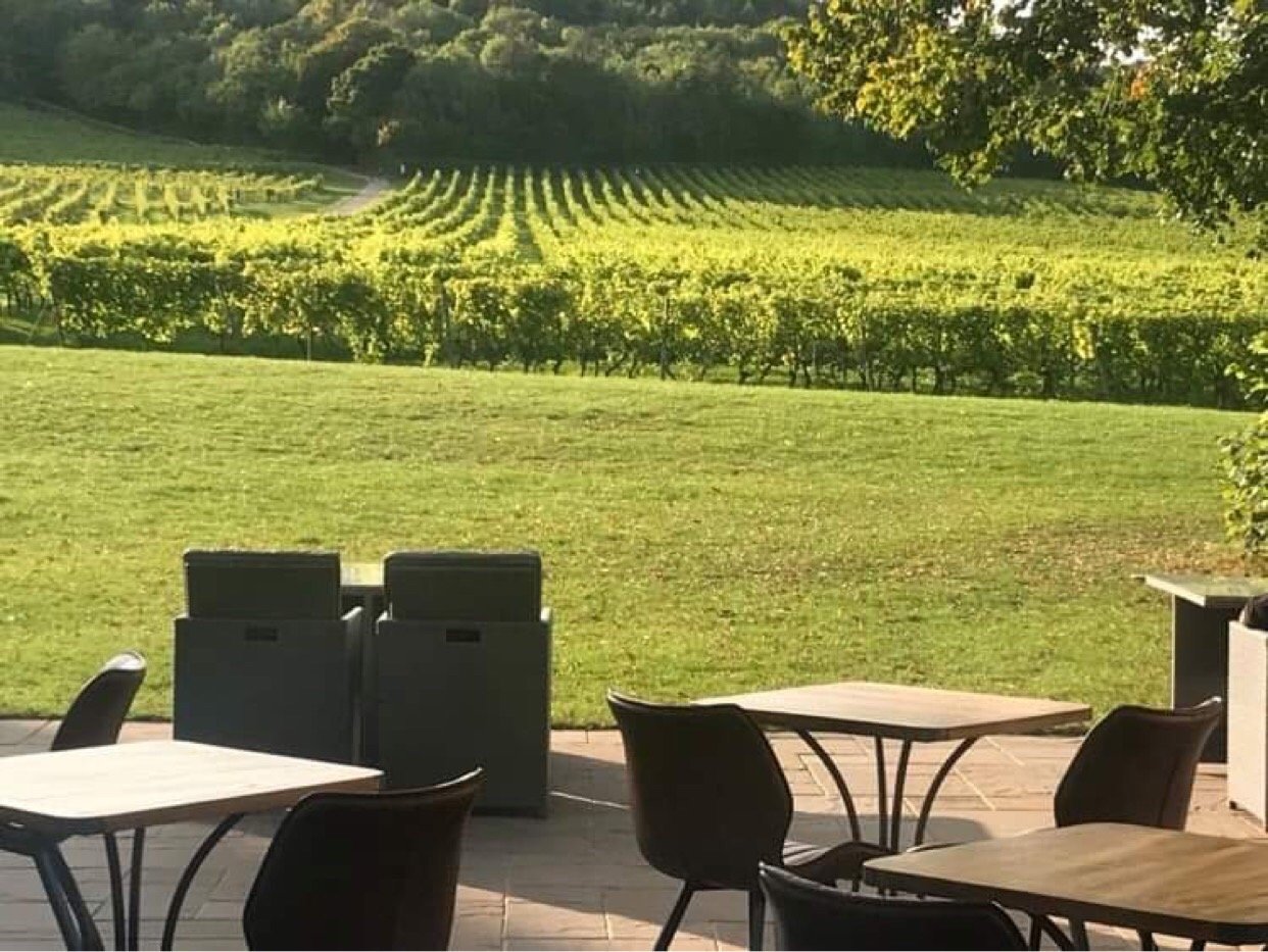 DENBIES VINEYARD HOTEL - Updated 2024 Reviews, Photos & Prices