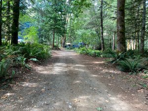 HORNE LAKE REGIONAL PARK CAMPGROUND - Reviews (Courtenay, Vancouver ...