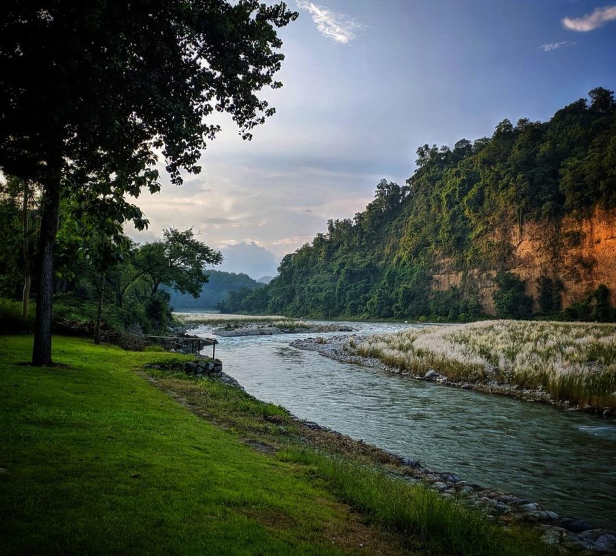 top 91+ Pictures jim corbett national parks in india Completed