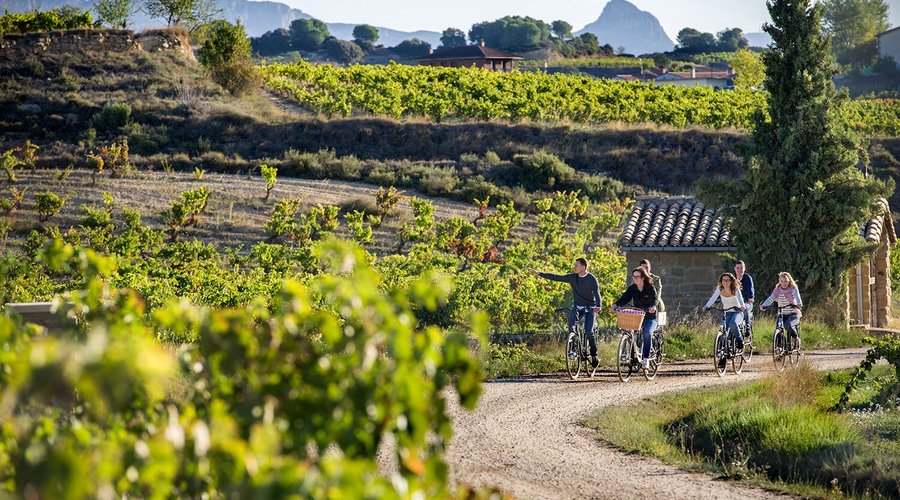 Ruta en bicicleta eléctrica por los viñedos de Villabuena de Álava.